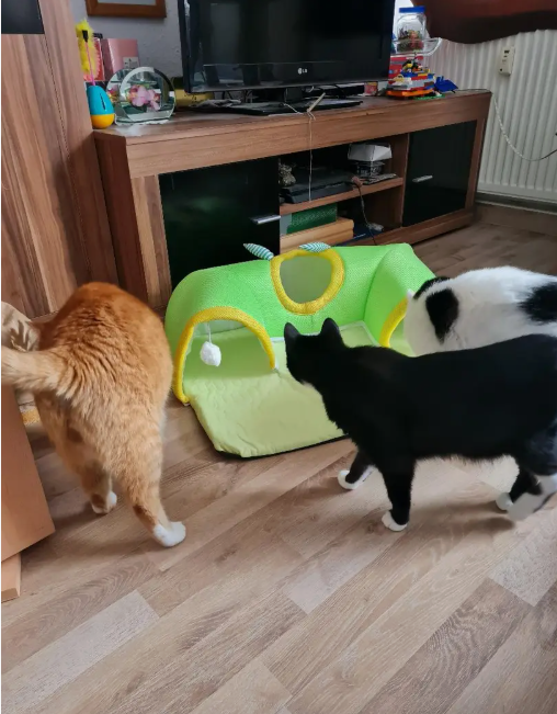 Satisfied Customers