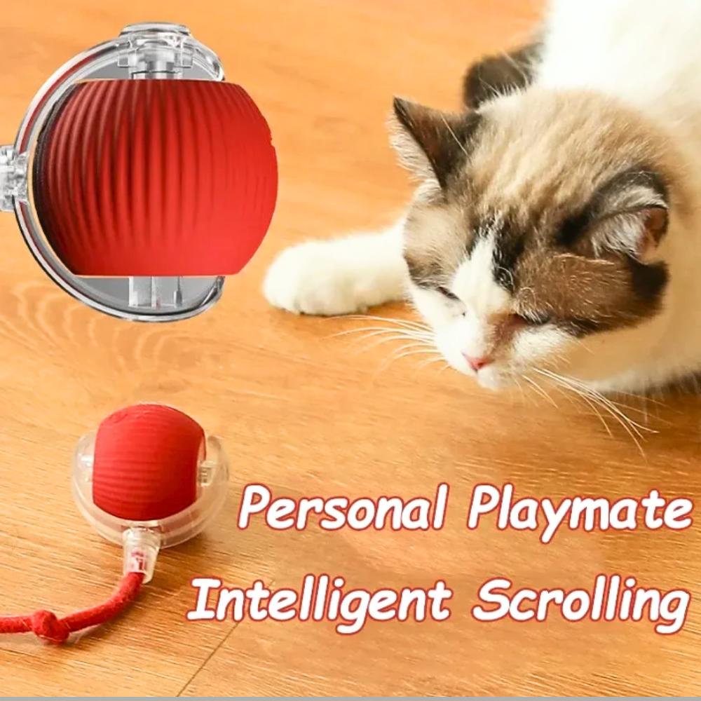 PawLounge™-Summer Breathable Cat Tunnel