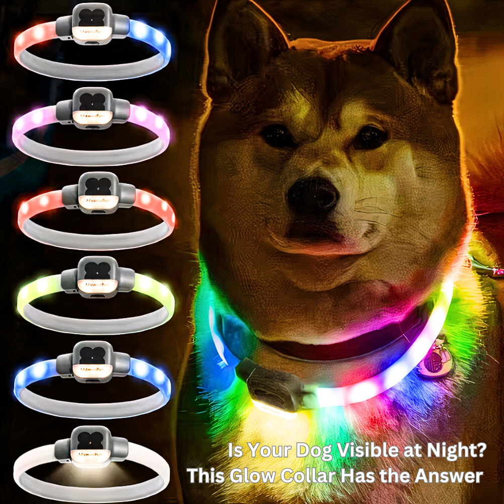 NightBrite™ Glow Dog Collar