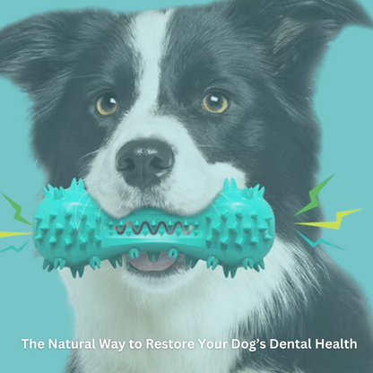 BarkBrite™- Teeth Cleaning Toy for Dogs