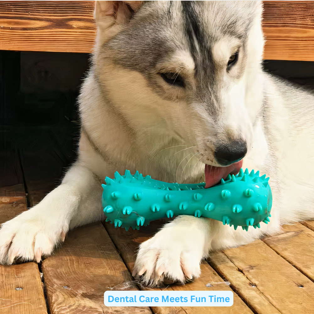 BarkBrite™- Teeth Cleaning Toy for Dogs