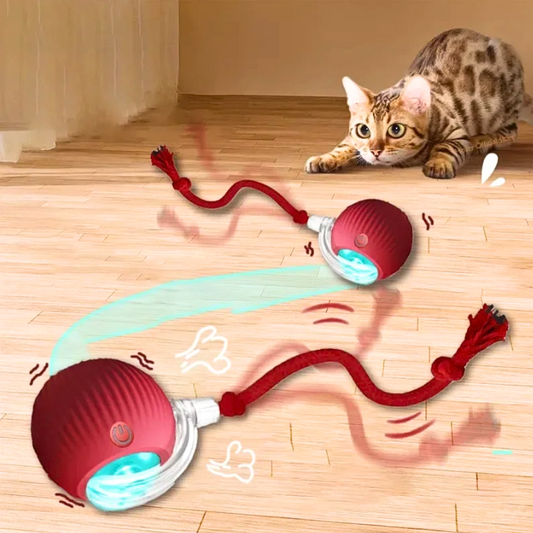 TailTrix™-Automatic Rolling Ball